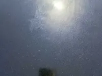 غطاء المحرك (الكبوت)