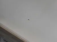 الباب الأمامى الأيسر