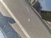 الباب الخلفى الأيسر