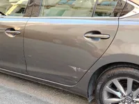 Rear left door