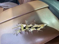 Scratched/Dented