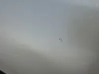 الرفرف الجانبي الأيسر