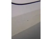الصدام الخلفى
