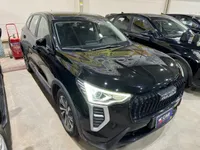More images