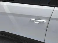 Front left door