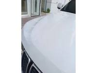 Left Fender