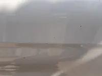 الباب الخلفى الأيسر
