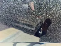 Rear left door