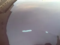 Bonnet