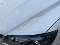Bonnet