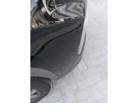 Rear left door