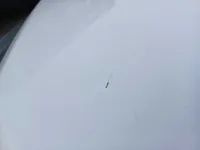 الباب الأمامى الأيسر