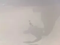 الباب الخلفى الأيمن