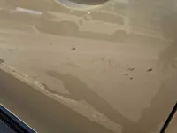 الباب الأمامى الأيسر
