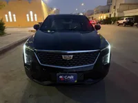 More images