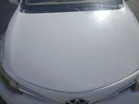 Bonnet