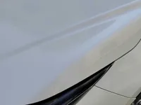 Bonnet