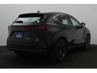 More images