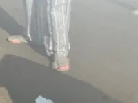 ألواح هيكل السيارة الأيسر