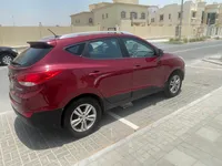 More images
