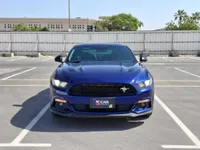 More images