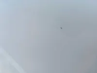 الباب الخلفى الأيسر