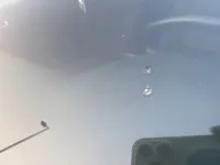 Windshield