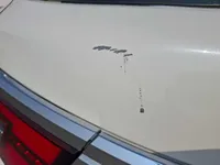 Trunk / Boot door