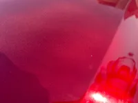 Bonnet