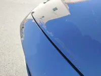 Bonnet