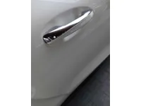 Front left door
