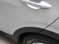 Rear left door