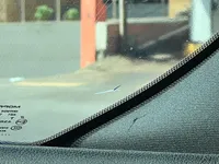 Windshield