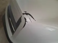 الصدام الأمامى