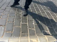 الباب الخلفى الأيسر
