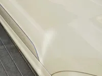 Front left door
