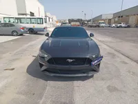 More images