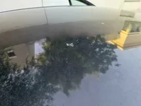 سقف السيارة
