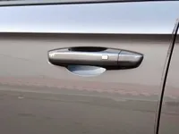 Front left door