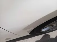 Rear left door