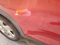 الباب الخلفى الأيمن