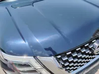 Bonnet