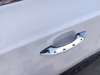 Rear left door