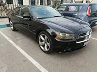 More images