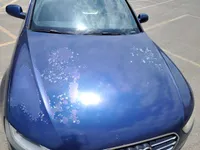 Bonnet
