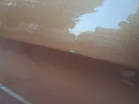 الباب الخلفى الأيسر