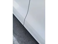 Front left door