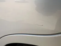 الباب الخلفى الأيسر