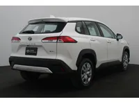 More images