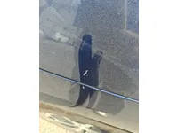 Right quarter panel